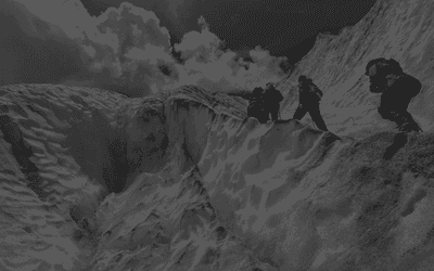 Risk Management: Integrate