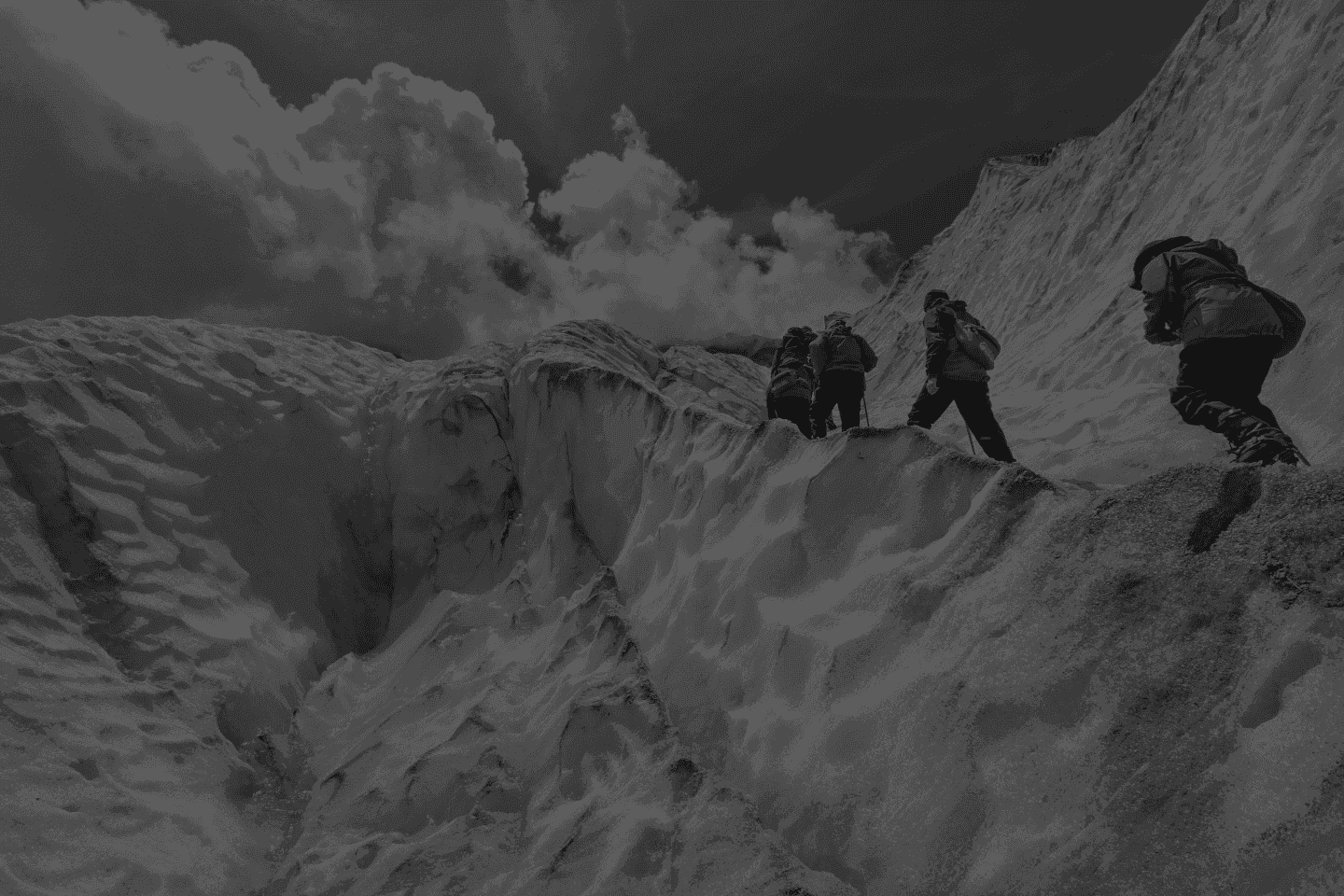 Risk Management: Integrate