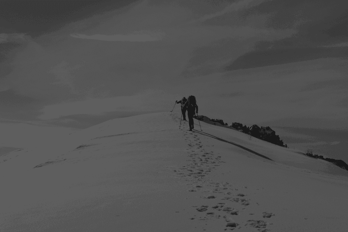 The Resilience Advantage: From Operational Risk to Strategic Excellence