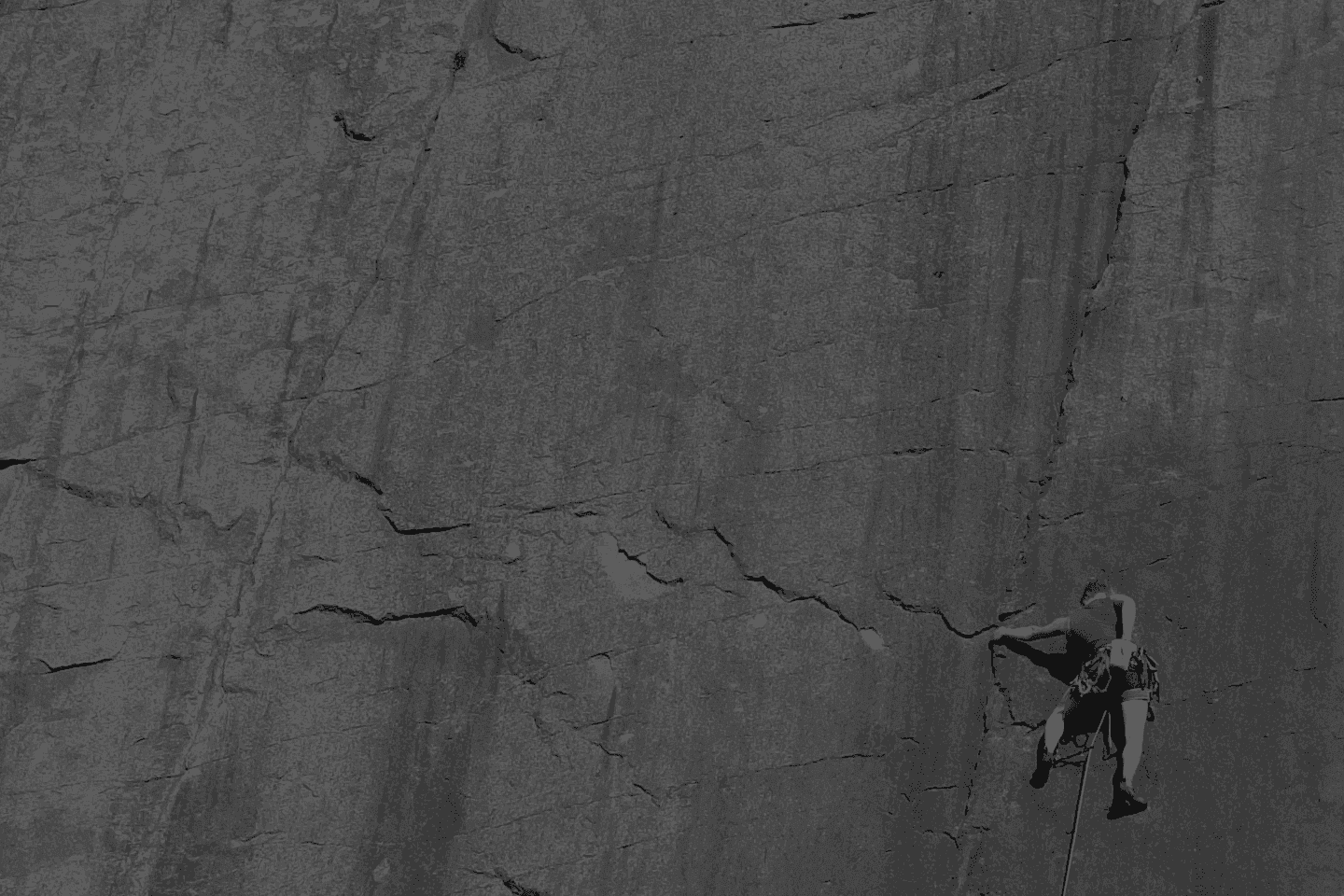 Data Breach Management: Detection, Response, and Notification