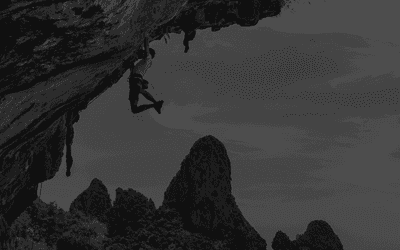 Chief Risk Officer (CRO) as a Service