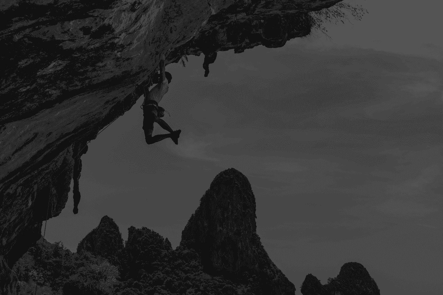 Chief Risk Officer (CRO) as a Service