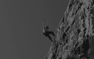 Data Protection Officer Career Guide: Skills, Qualifications, and Pathways