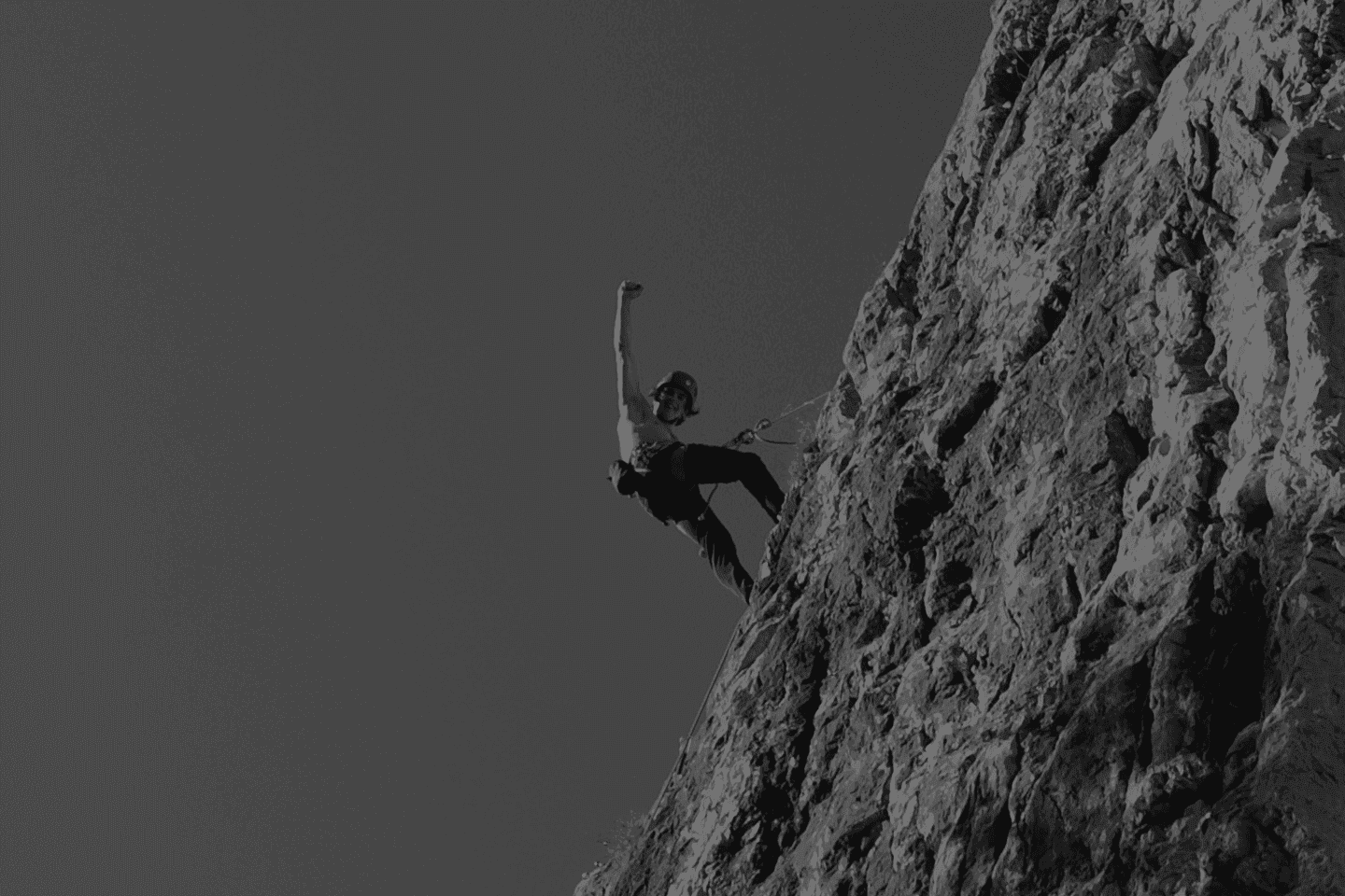 Data Protection Officer Career Guide: Skills, Qualifications, and Pathways