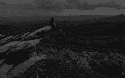 Risk Management: Evaluate