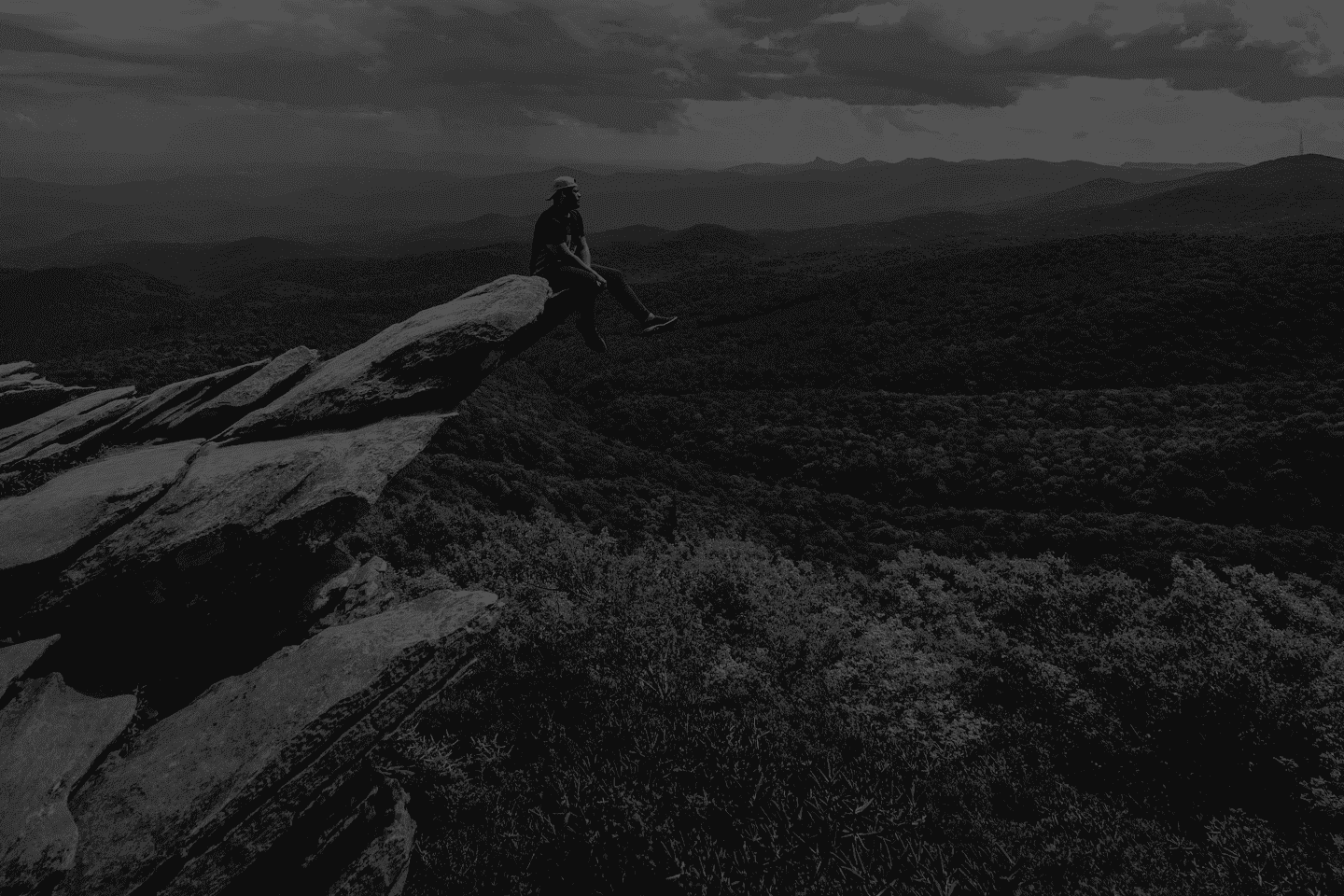 Risk Management: Evaluate