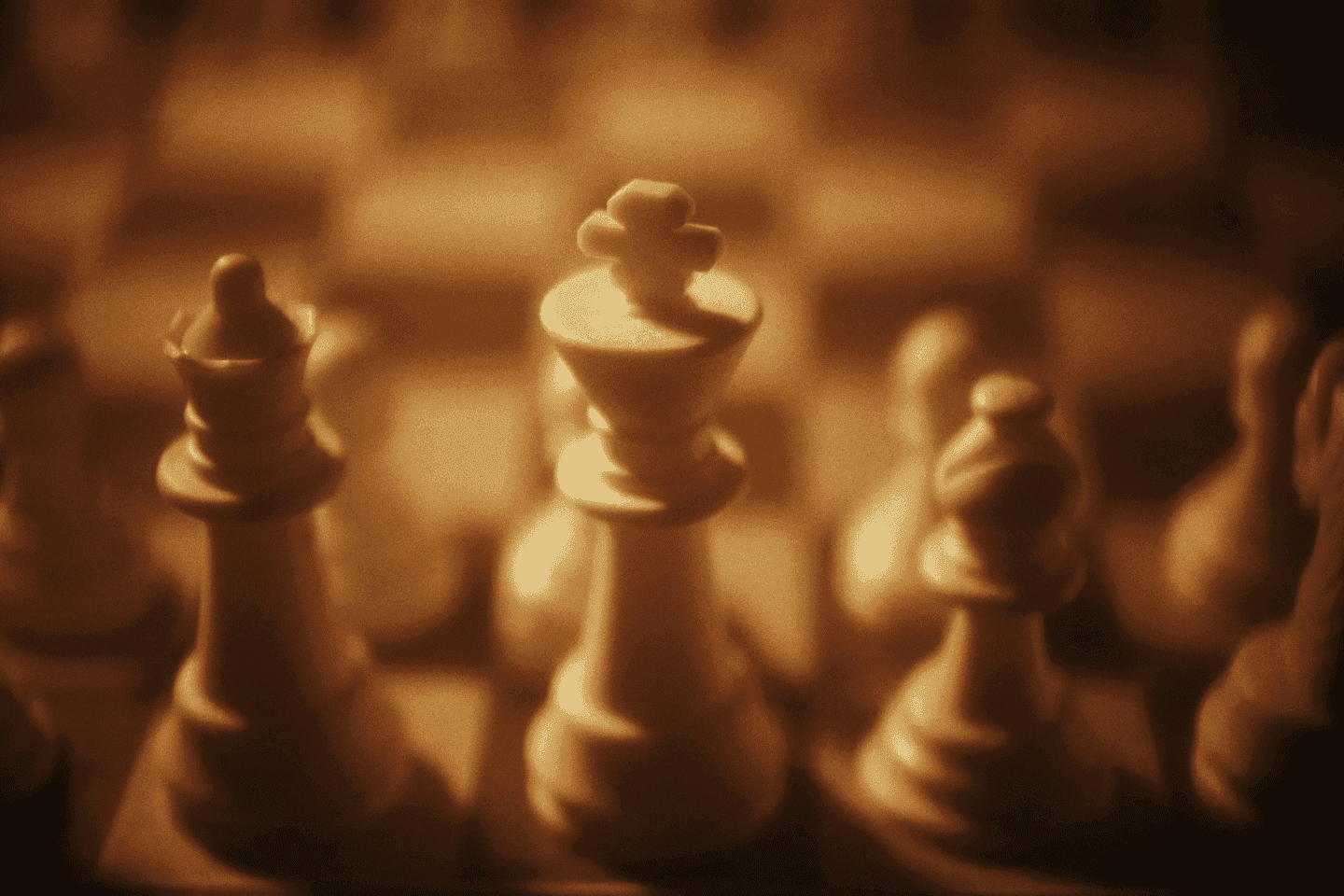 Explore Our Services